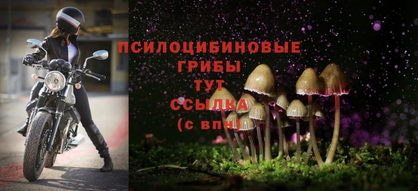 винт Рославль