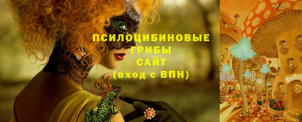 винт Рославль